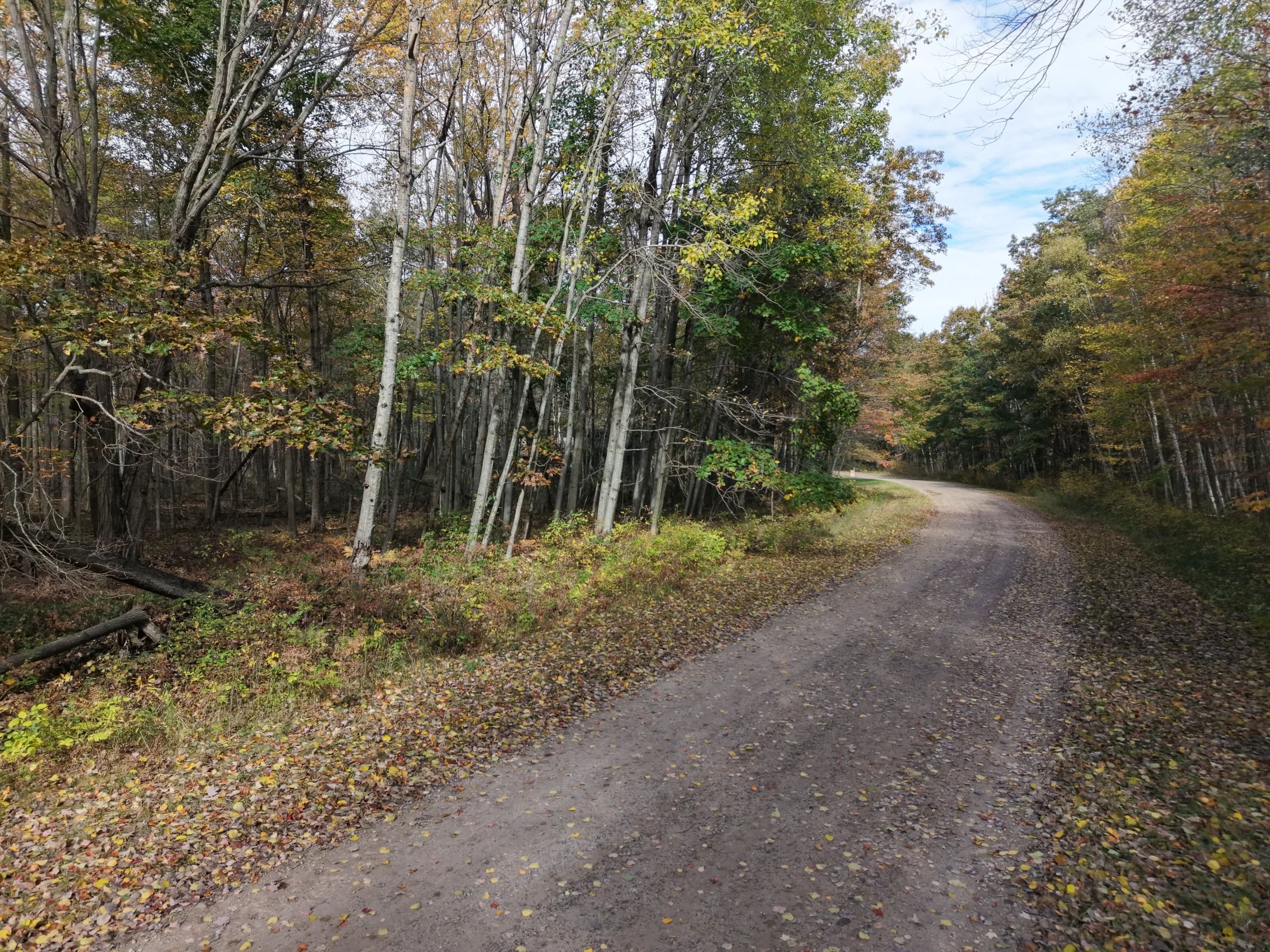 🌲 0.31-ACRE WOODED LOT – OSCODA, MI | $1,995 OBO in Oscoda County, MI