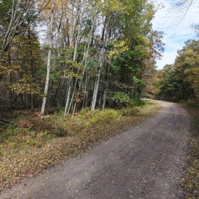 🌲 0.31-ACRE WOODED LOT – OSCODA, MI | $1,995 OBO in Oscoda County, MI