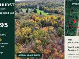 🌲 0.31-ACRE WOODED LOT – OSCODA, MI | $1,995 OBO