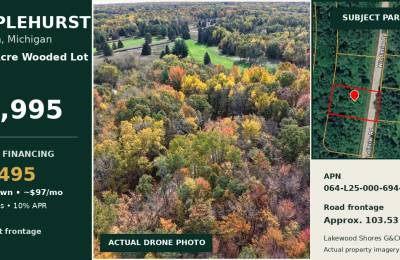 🌲 0.31-ACRE WOODED LOT – OSCODA, MI | $1,995 OBO