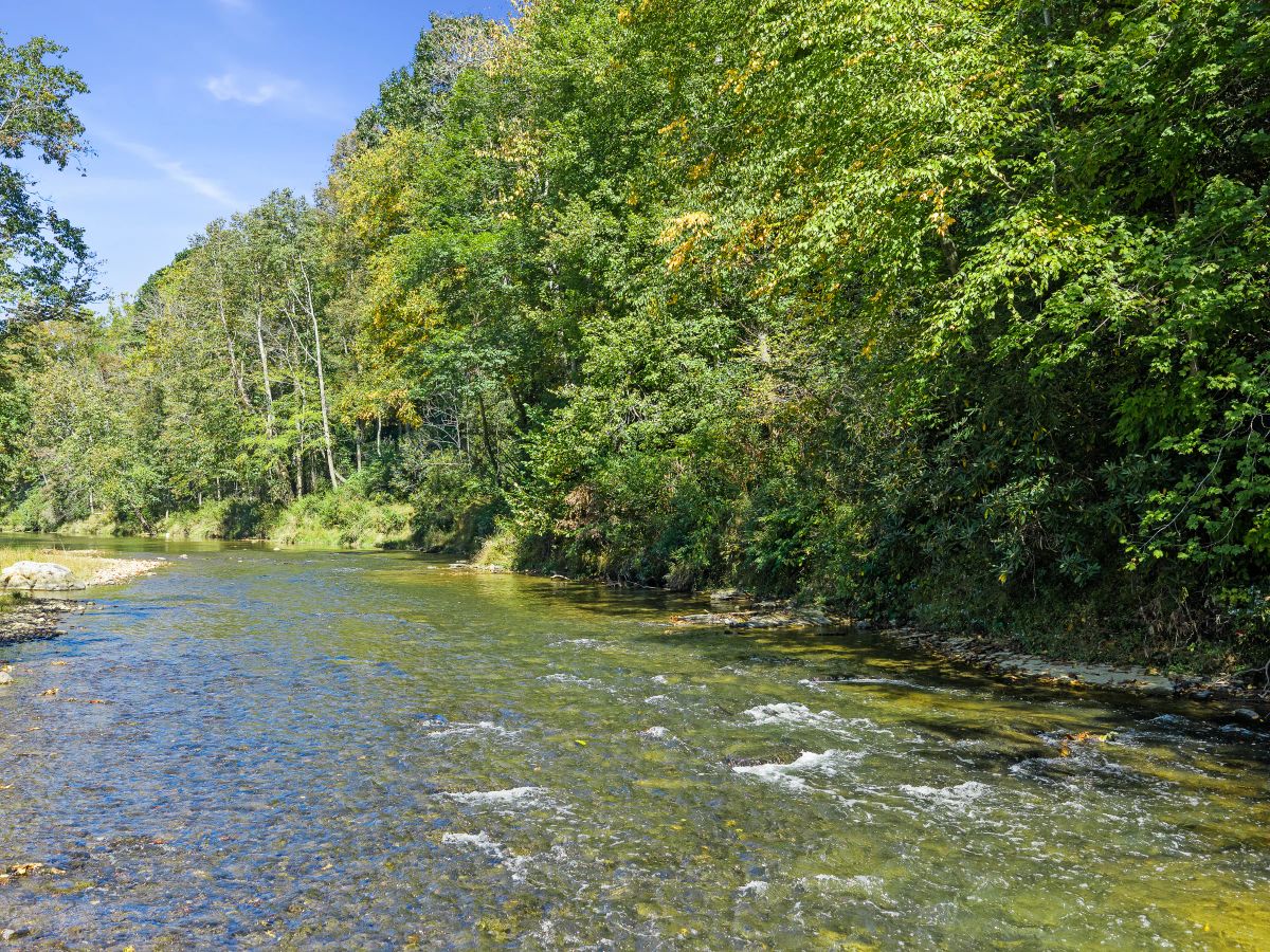 RIVERFRONT ACREAGE - Image 2