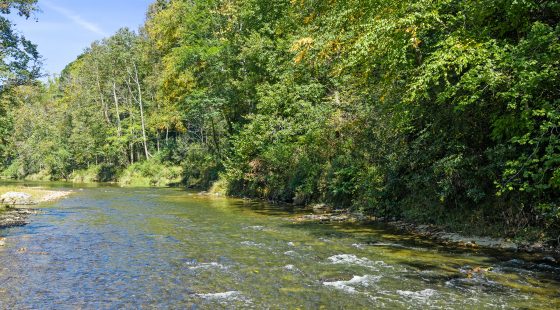 RIVERFRONT ACREAGE in Yancey County, NC