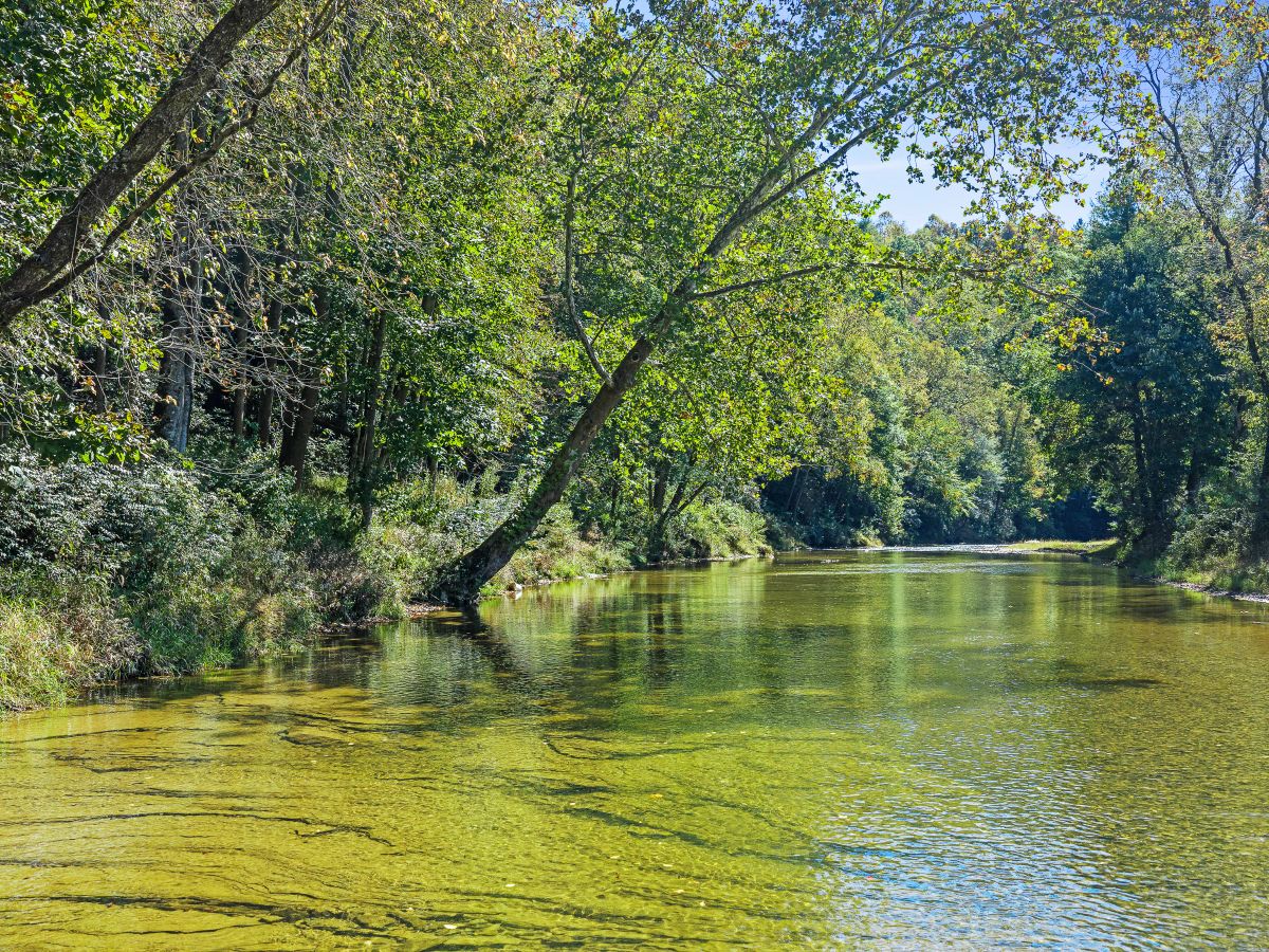 RIVERFRONT ACREAGE - Image 4