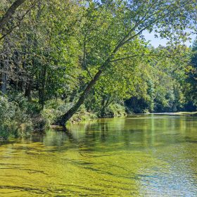 RIVERFRONT ACREAGE in Yancey County, NC