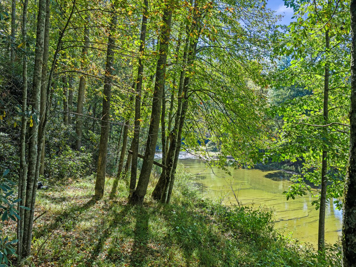 Decorative background for RIVERFRONT ACREAGE image 7