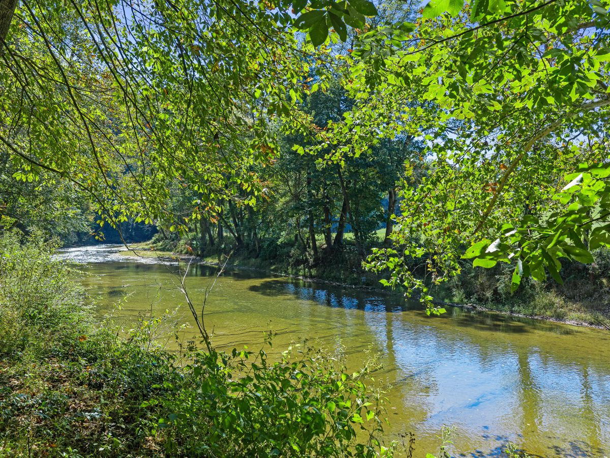 Decorative background for RIVERFRONT ACREAGE image 5