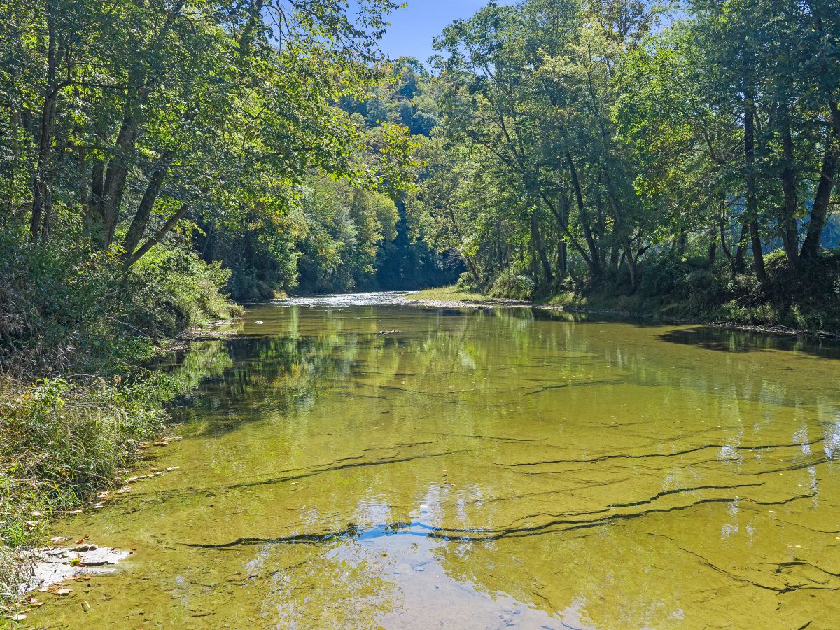 Decorative background for RIVERFRONT ACREAGE image 6