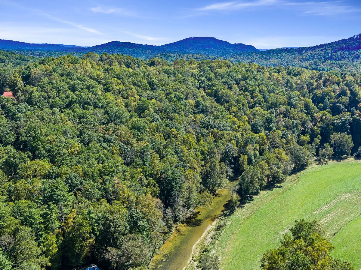 Decorative background for RIVERFRONT ACREAGE image 9