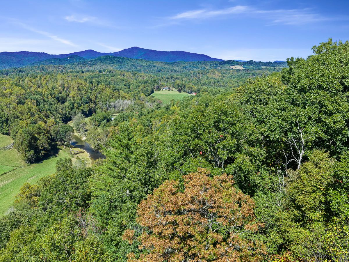 Decorative background for RIVERFRONT ACREAGE image 10