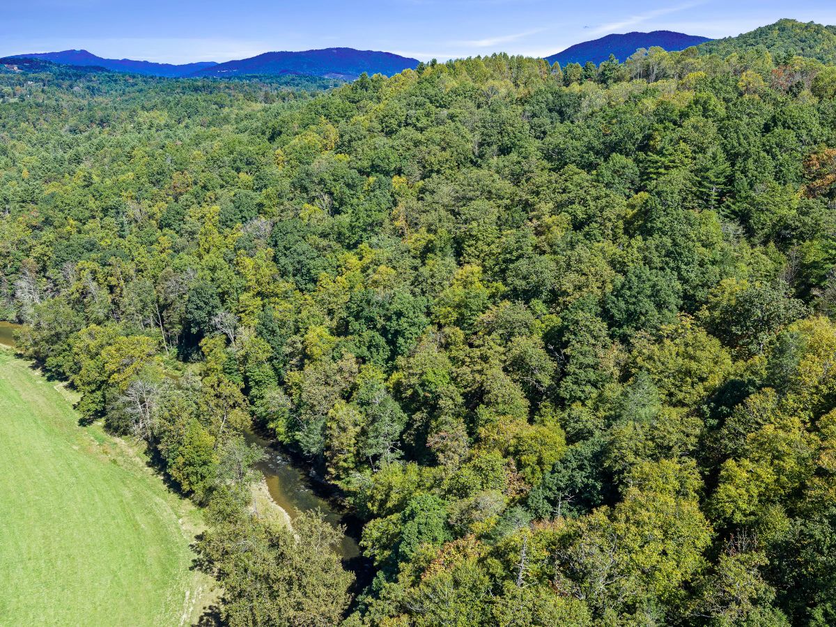 Decorative background for RIVERFRONT ACREAGE image 11
