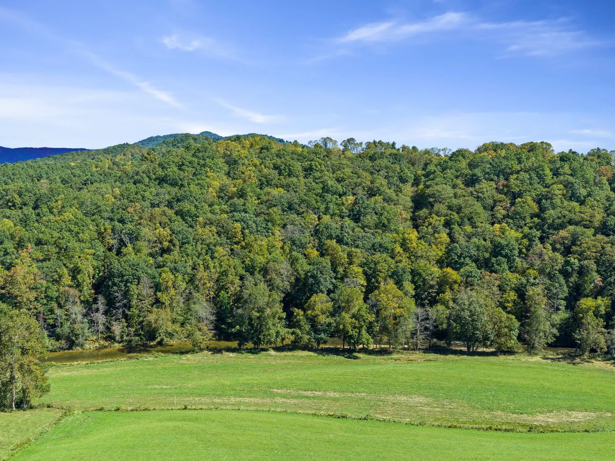 Decorative background for RIVERFRONT ACREAGE image 13