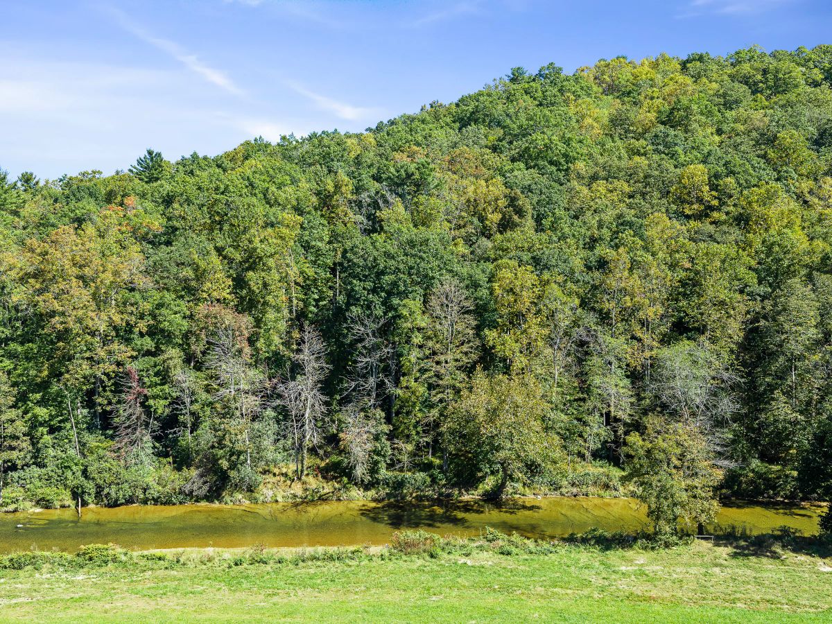 Decorative background for RIVERFRONT ACREAGE image 14