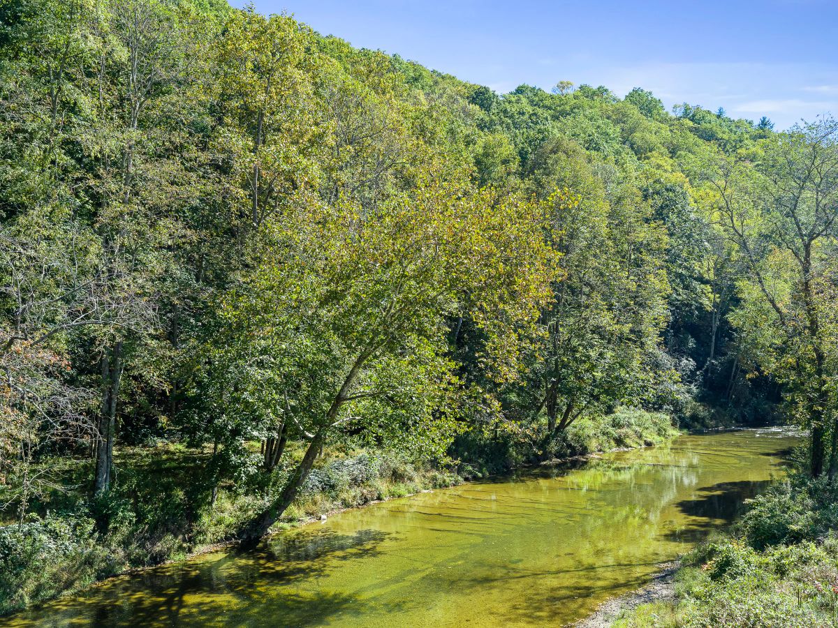 Decorative background for RIVERFRONT ACREAGE image 15