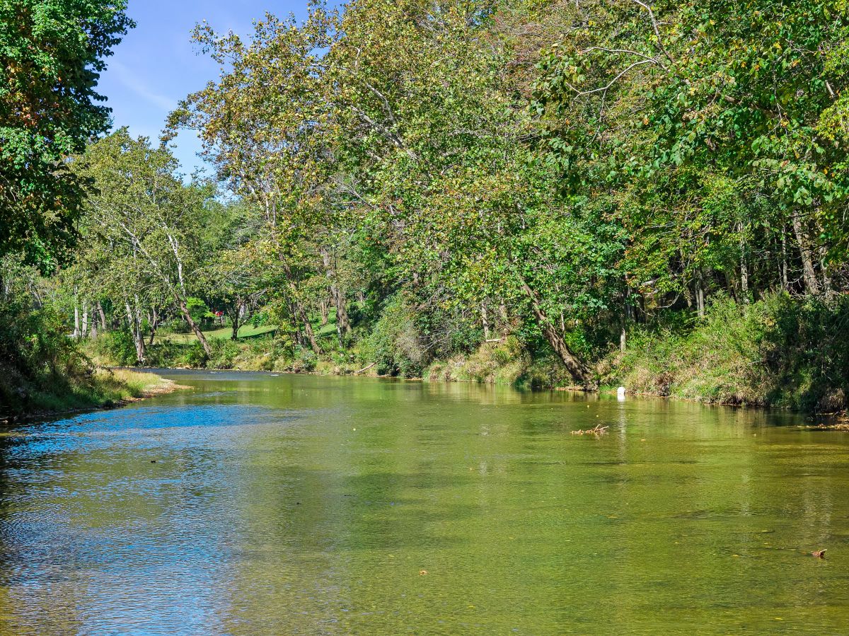 Decorative background for RIVERFRONT ACREAGE image 16