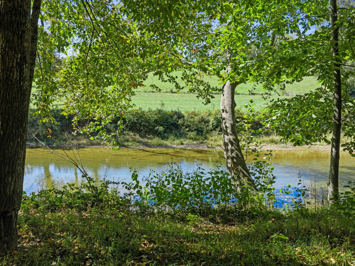 Decorative background for RIVERFRONT ACREAGE image 17