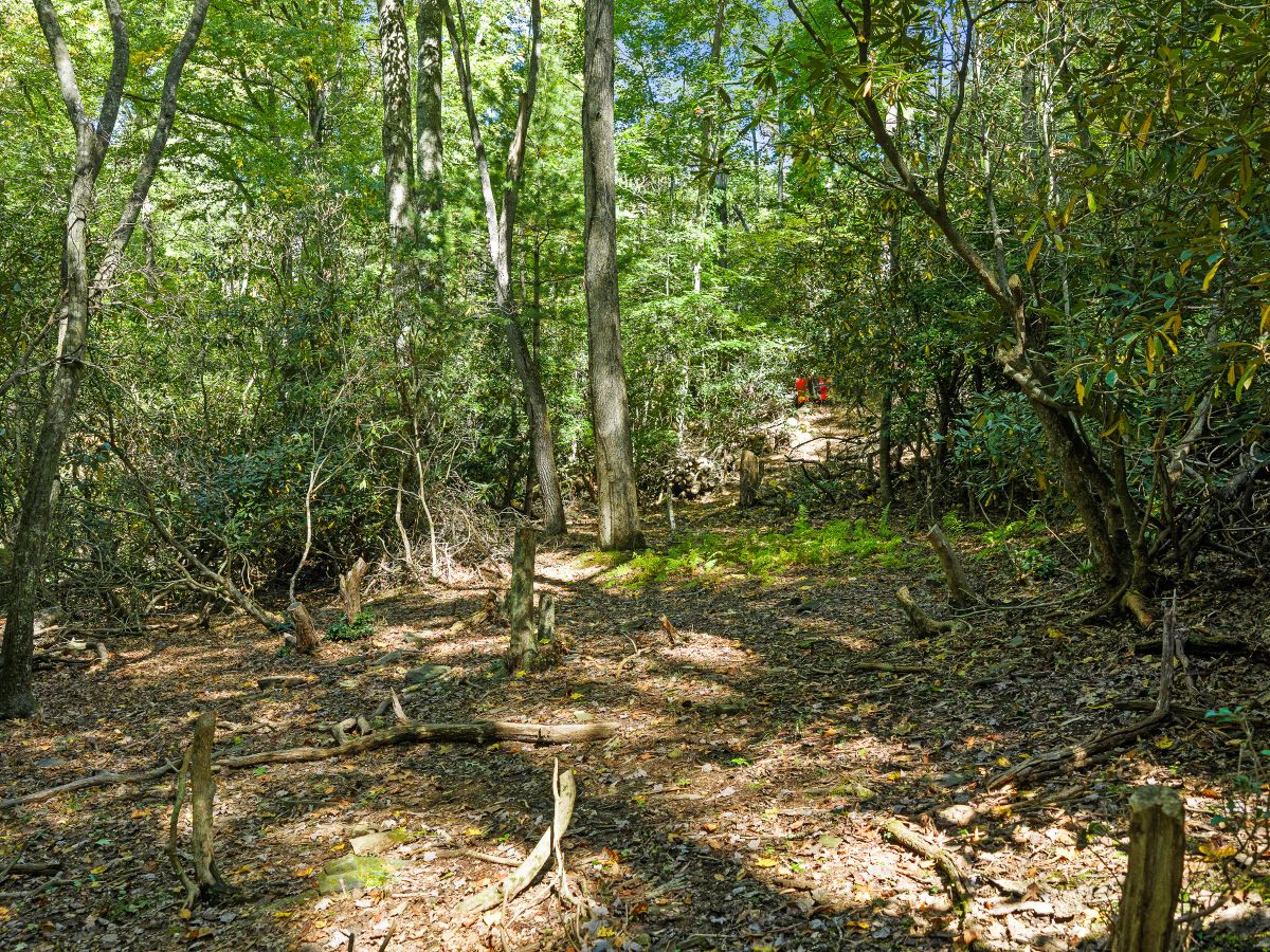 Decorative background for RIVERFRONT ACREAGE image 18
