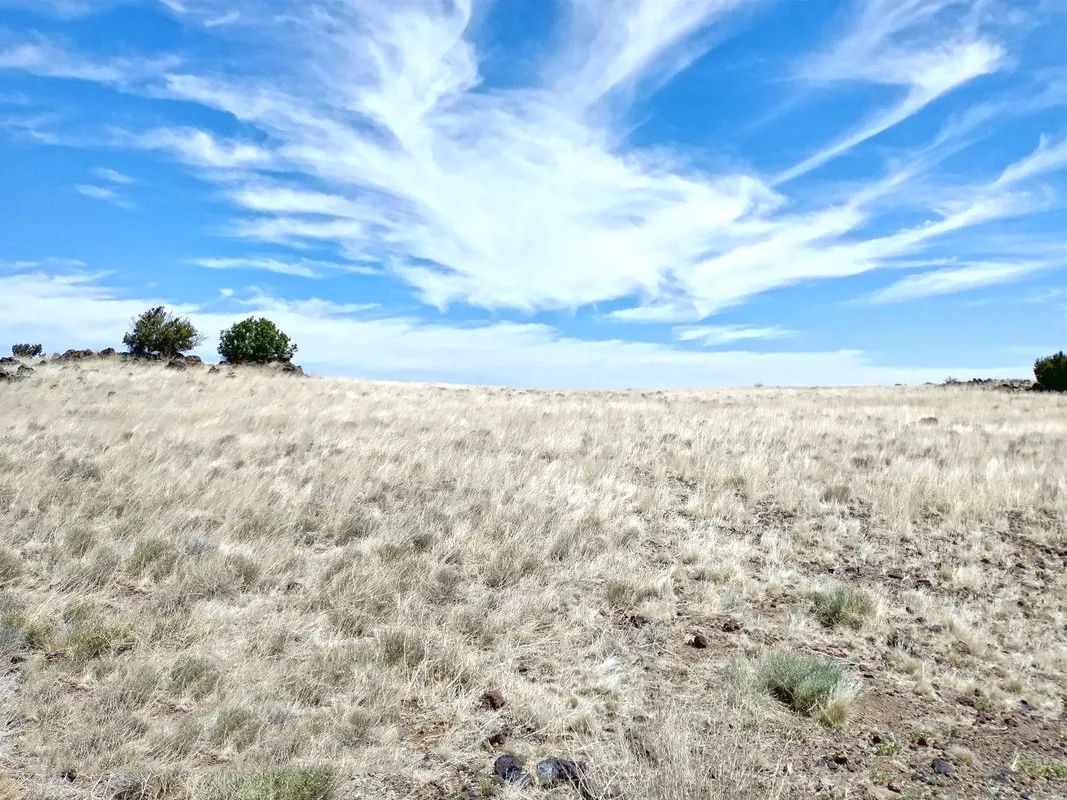 1.25 Acres in Apache, Arizona - Main image