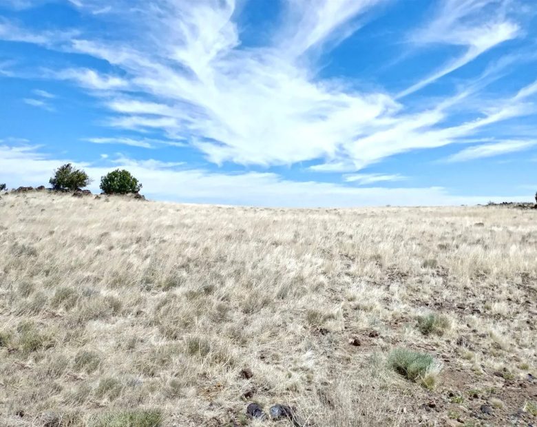 1.25 Acres in Apache, Arizona in Apache County, AZ