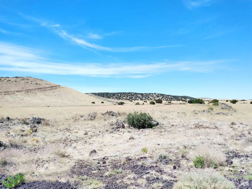 1.25 Acres in Apache, Arizona in Apache County, AZ