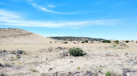 1.25 Acres in Apache, Arizona in Apache County, AZ