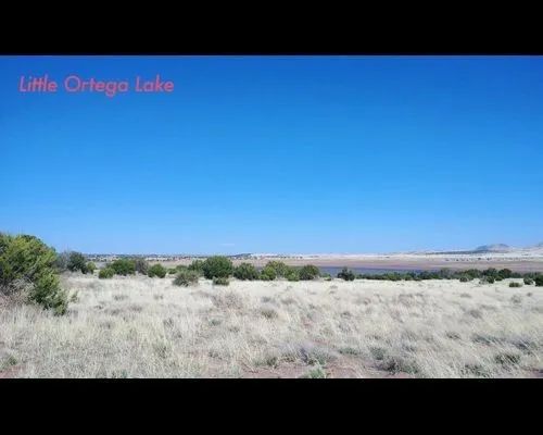 1.25 Acres in Apache, Arizona - Image 4