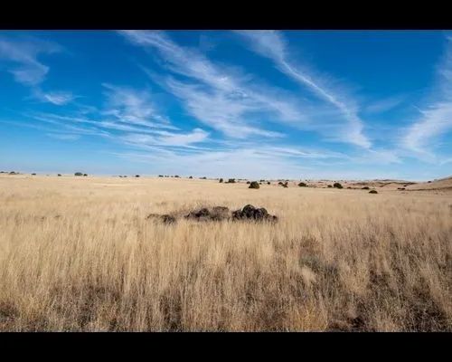 1.1 Acres in Apache, Arizona - Main image