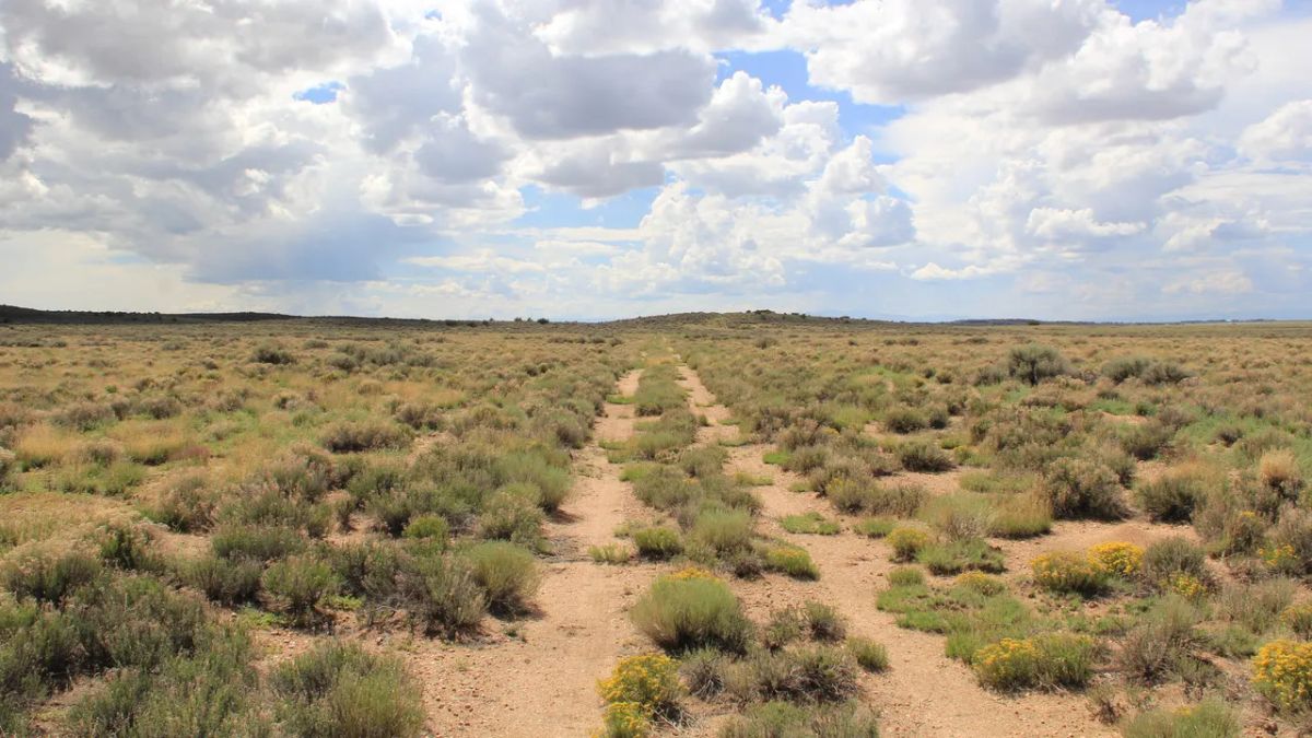 5 Acres in Costilla, Colorado - Image 2