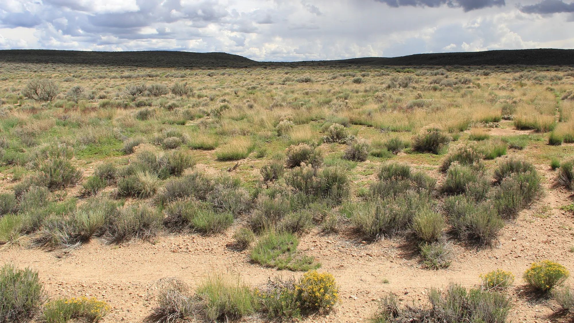 5 Acres in Costilla, Colorado in Costilla County, CO