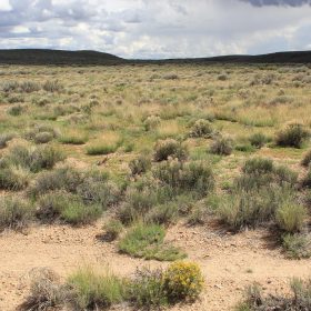 5 Acres in Costilla, Colorado in Costilla County, CO