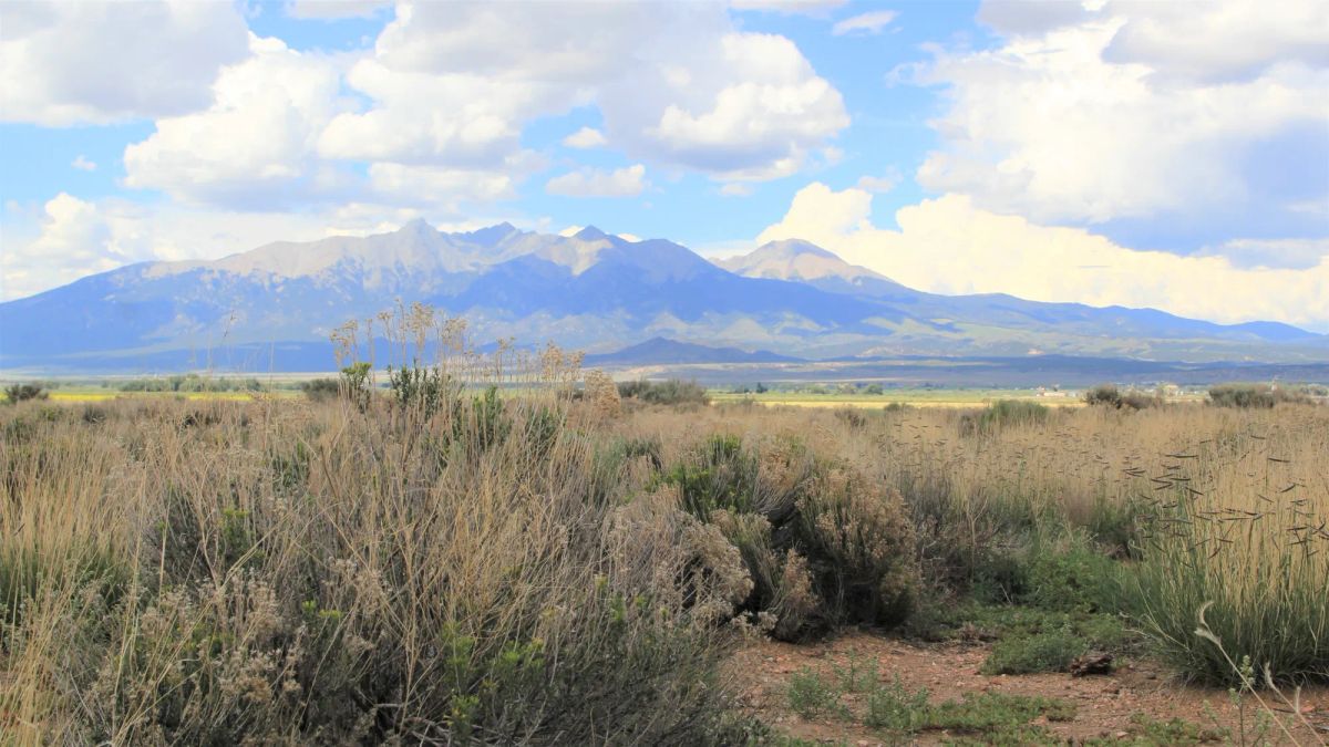 Decorative background for 5 Acres in Costilla, Colorado image 7