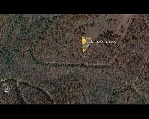 0.59 Acres in Izard, Arkansas - Image 4