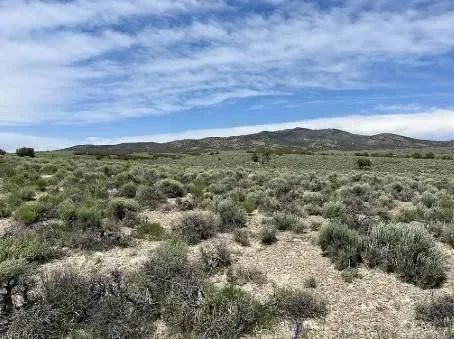 2.06 Acres in Elko, Nevada - Image 3