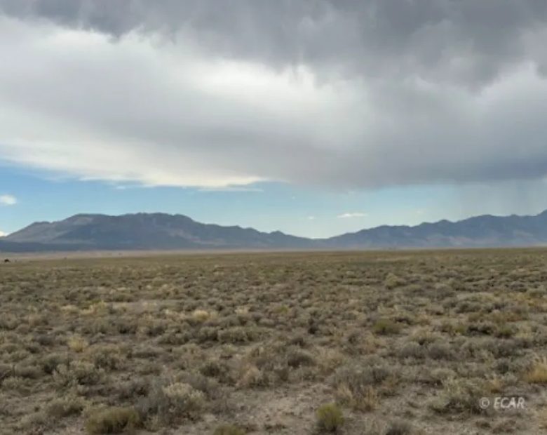 10 Acres in Elko, Nevada in Elko County, NV