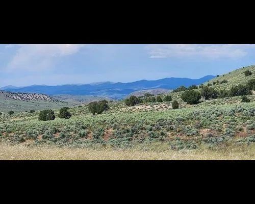 Decorative background for 10 Acres in Elko, Nevada image 6