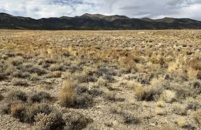 0.23 Acres in Elko, Nevada