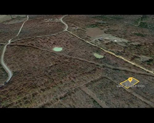 Decorative background for 0.43 Acres in Izard, Arkansas image 5