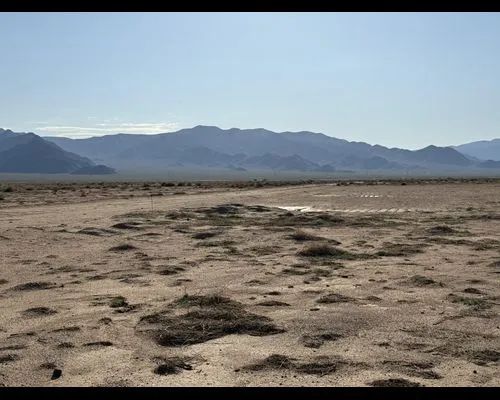 Decorative background for 1.25 Acres in Mohave, Arizona image 8