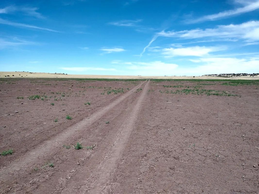 2 Acres in Apache, Arizona - Image 2