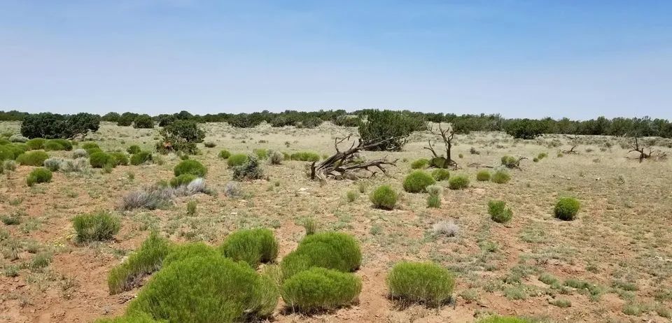 1.05 Acres in Apache, Arizona - Main image