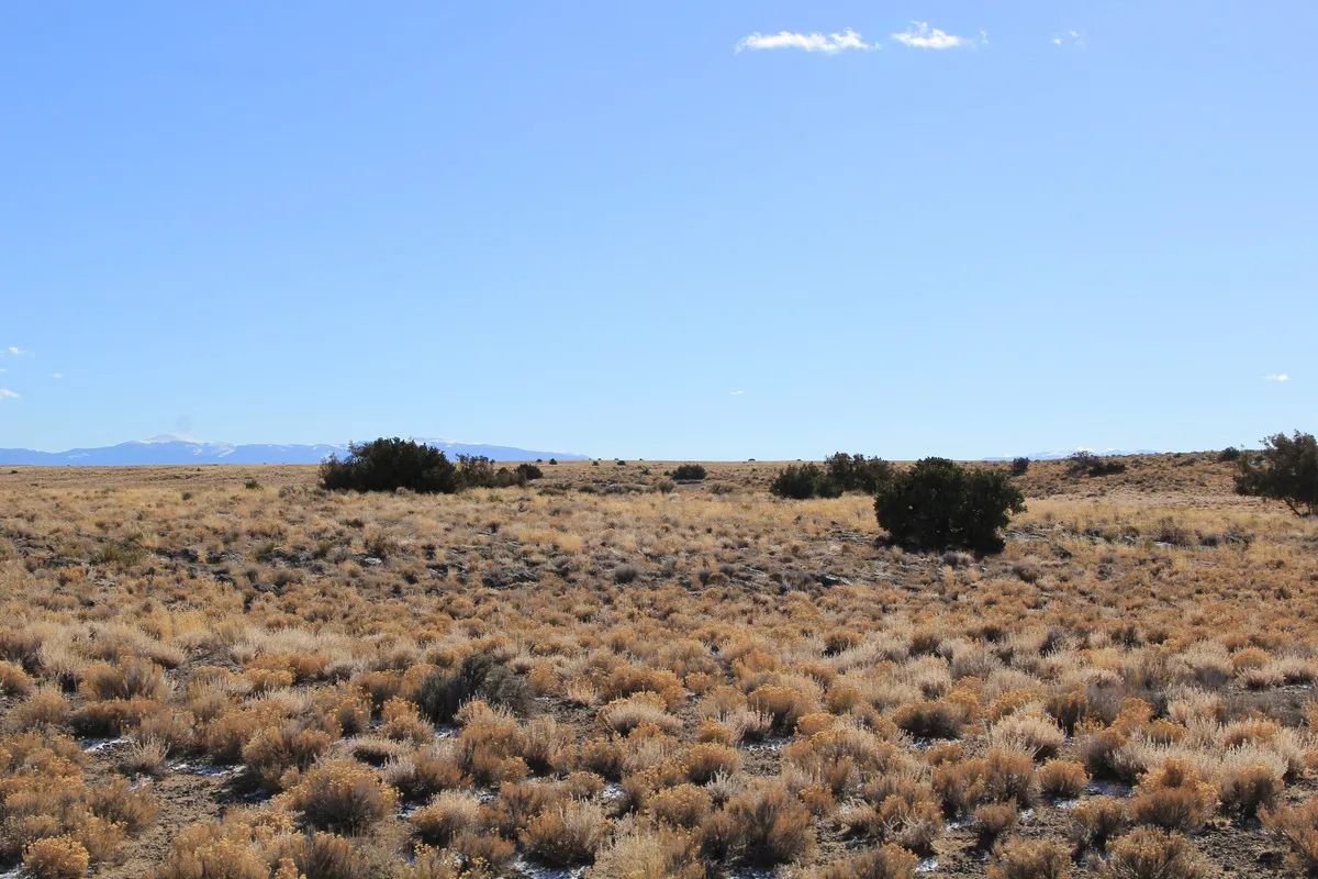 5.6 Acres in Costilla, Colorado - Image 2