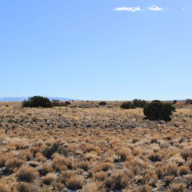 5.6 Acres in Costilla, Colorado in Costilla County, CO