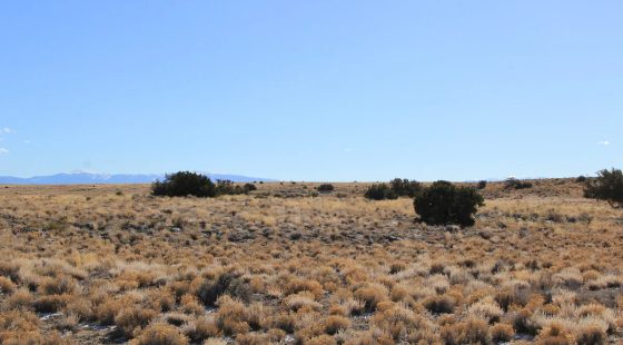 5.6 Acres in Costilla, Colorado in Costilla County, CO
