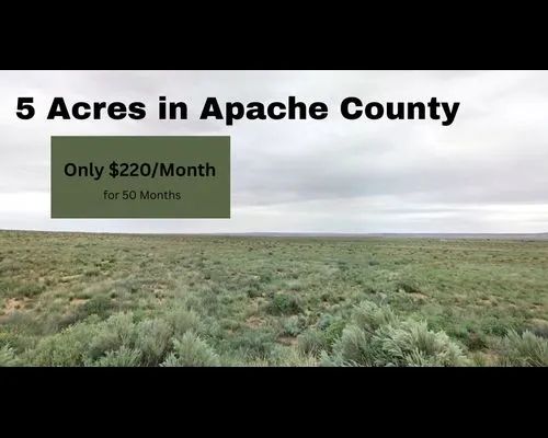 5 Acres in Apache, Arizona - Image 4