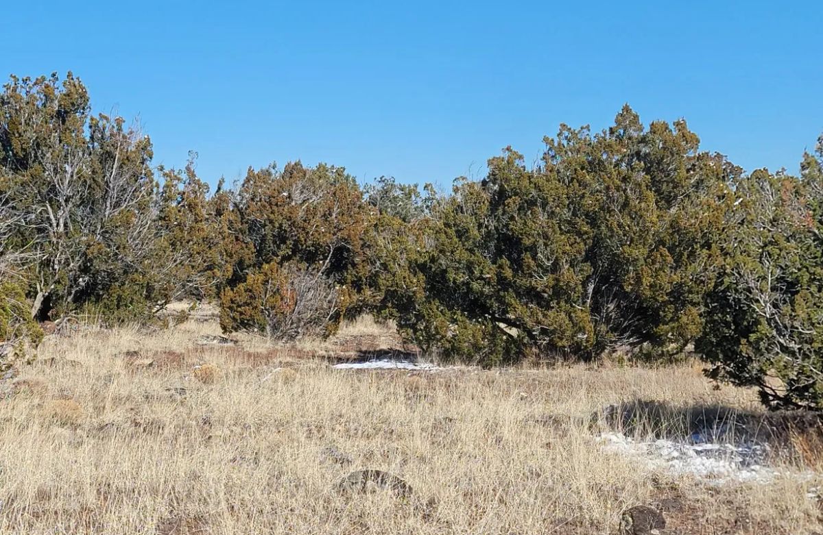 0.27 Acres in Apache, Arizona - Image 2