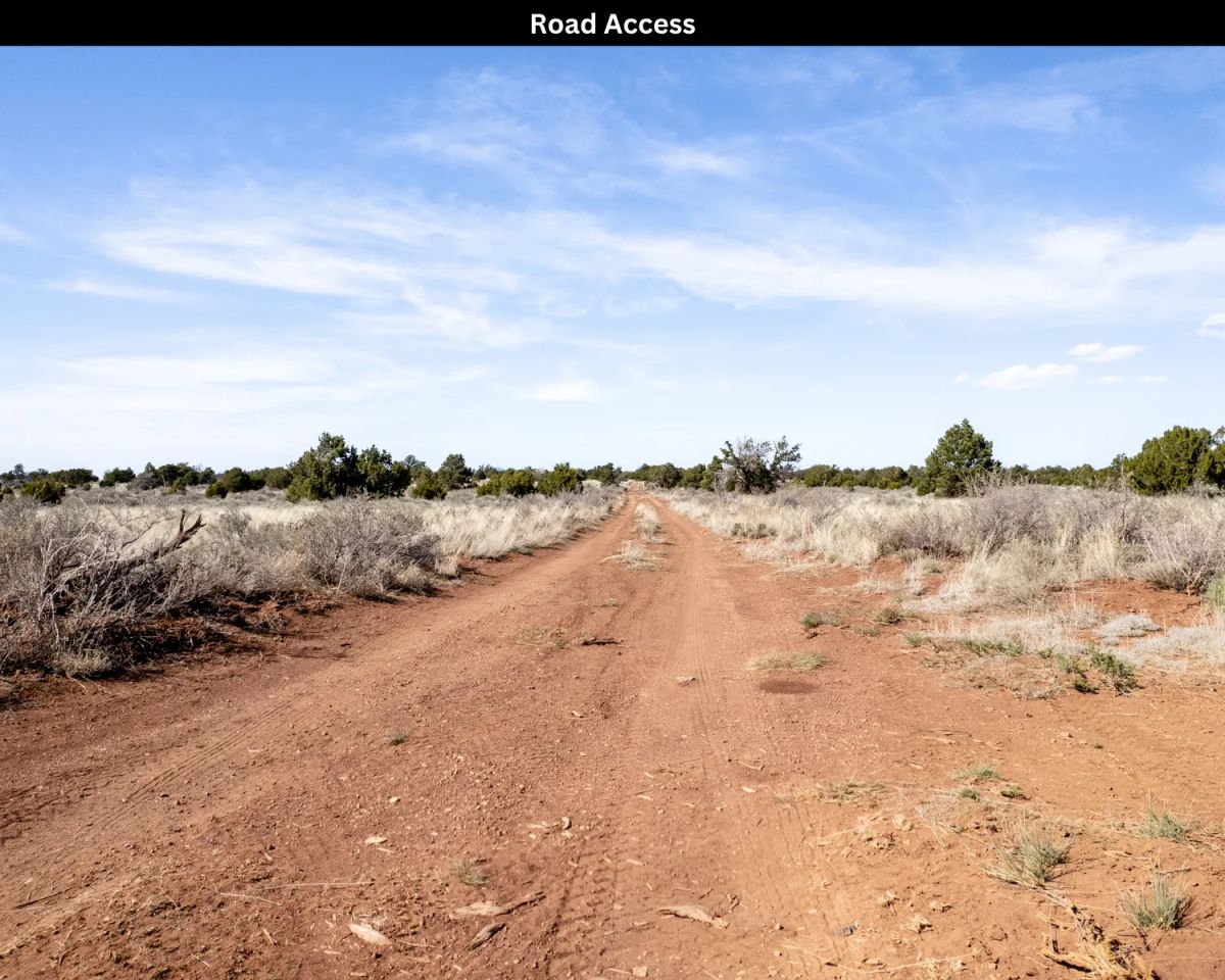 Decorative background for 1.1 Acre Vacant Land in Williams, AZ image 16