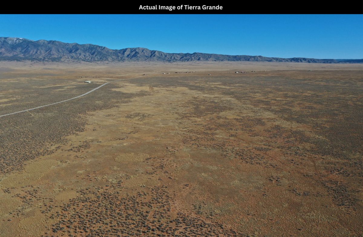 Decorative background for 15.58 Acres of Opportunity in Tierra Grande, NM β Power at the Street, Endless Potential! image 19