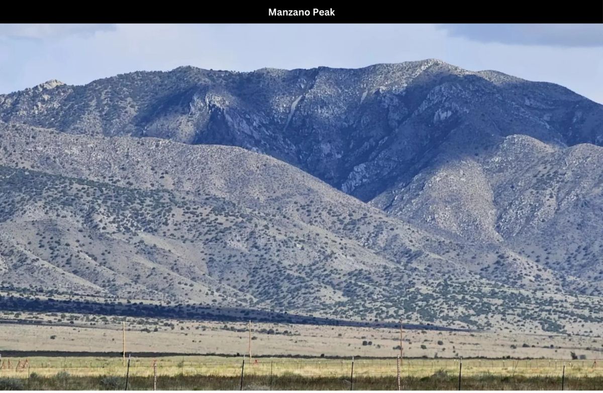 Decorative background for 15.58 Acres of Opportunity in Tierra Grande, NM β Power at the Street, Endless Potential! image 20