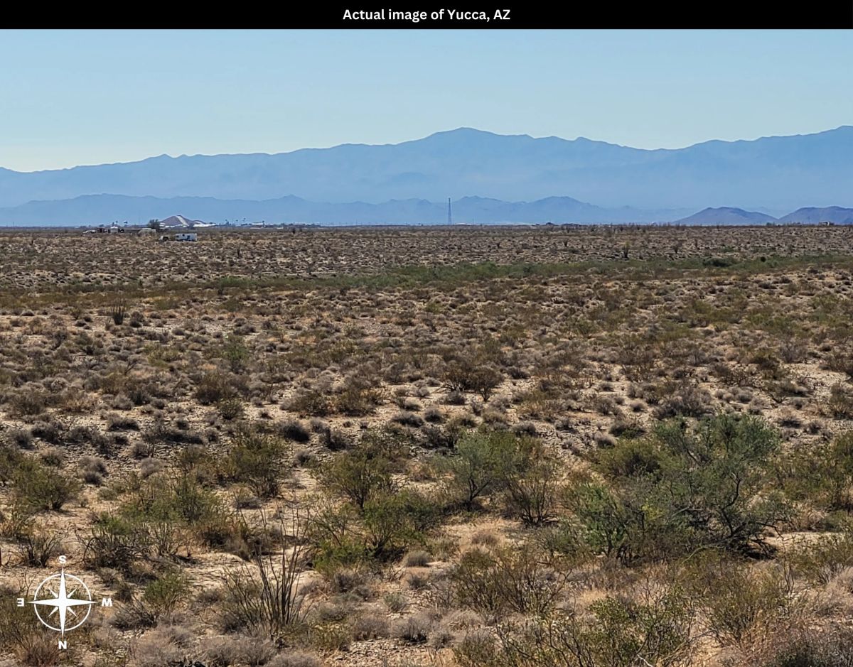 Decorative background for AZ image 19