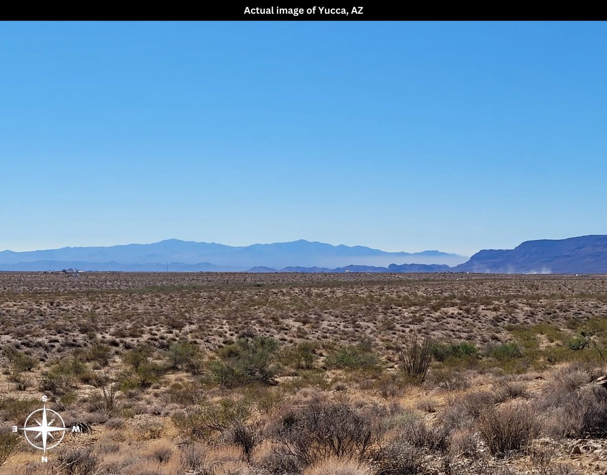Decorative background for AZ image 20