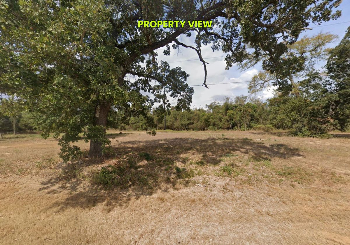 Decorative background for 0.45 Acres • Two Adjoining Lots • 313' of Paved-Road Frontage • Single-Family Residential Zoning • Cleared & Outside the Flood Zone • Growing Hempstead/Waller County Location • Owner Financing Available image 9